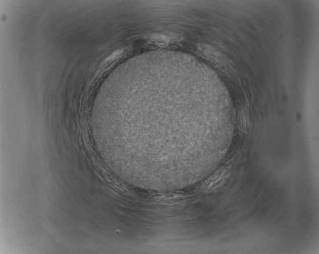 X0000079281105200612081746