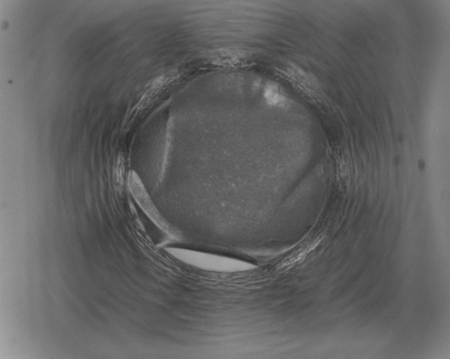 X0000079281106200612081746