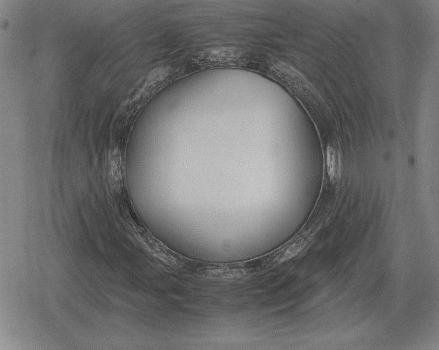 X0000079281107200612081746