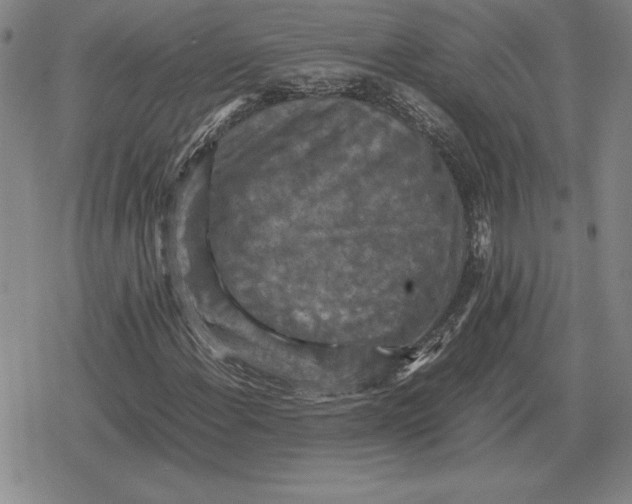 X0000079281108200612081746