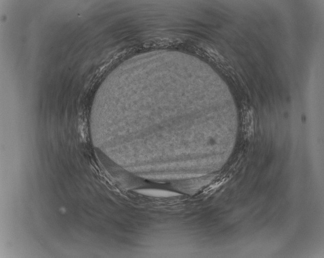 X0000079281109200612081746