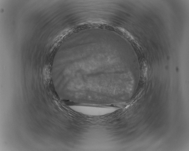 X0000079281110200612081746