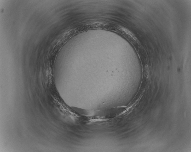 X0000079281111200612081746