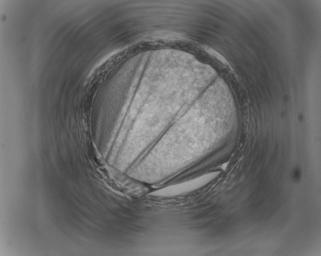 X0000079281112200612081746