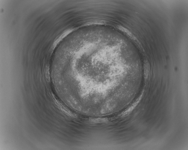 X0000079281113200612081746