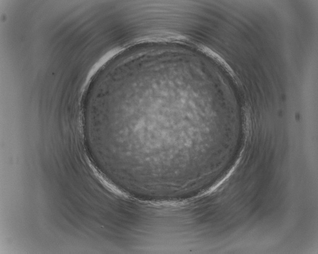 X0000079281114200612081746