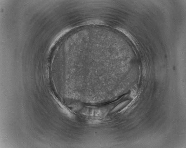 X0000079281115200612081746