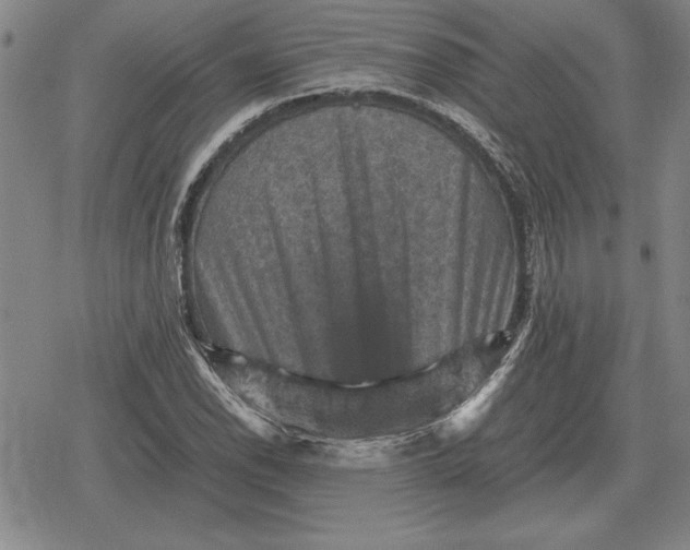 X0000079281118200612081746