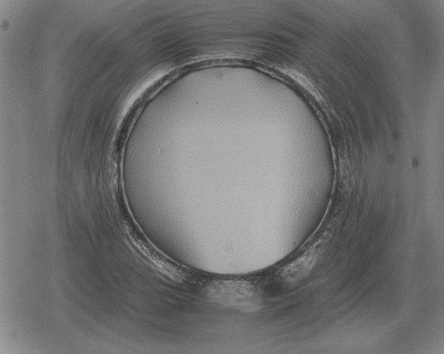 X0000079281119200612081746