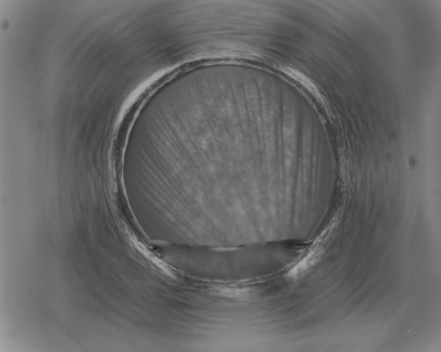 X0000079281120200612081746