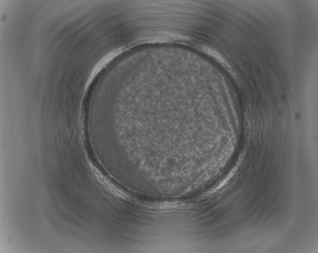 X0000079281122200612081746