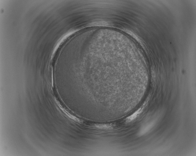 X0000079281123200612081746