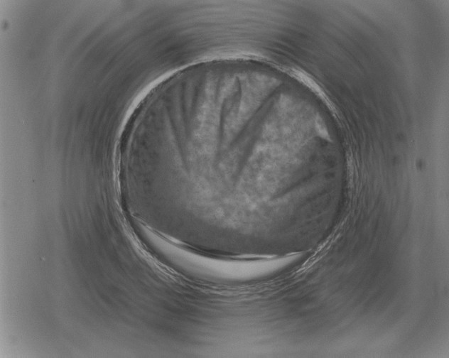 X0000079281124200612081746