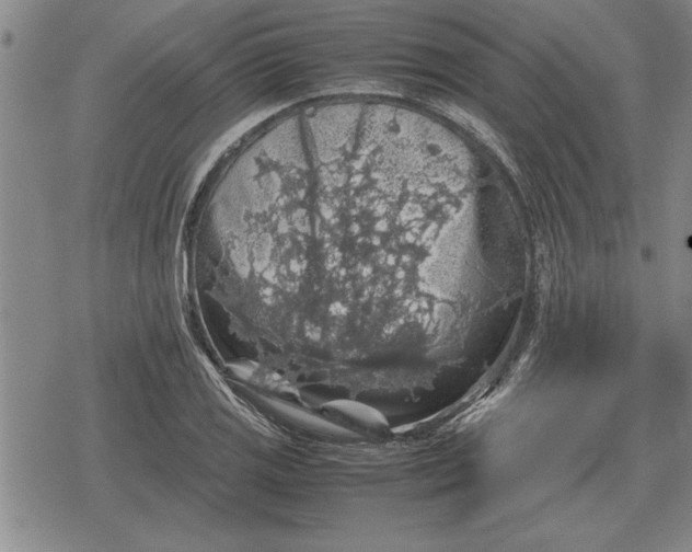 X0000079281125200612081746