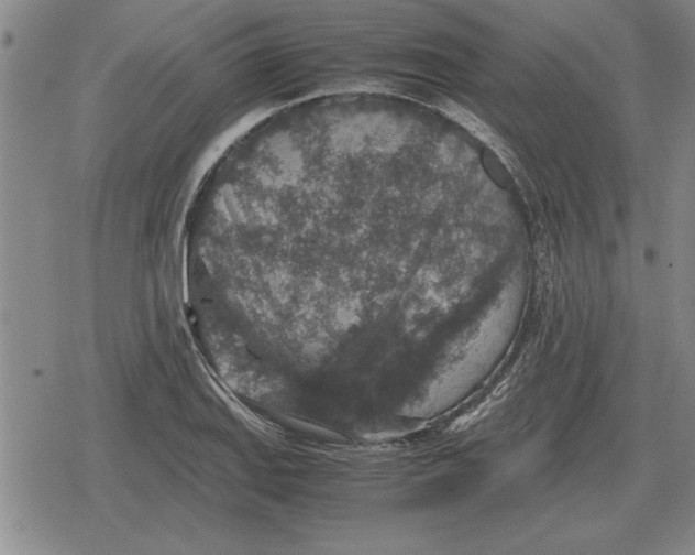 X0000079281127200612081746