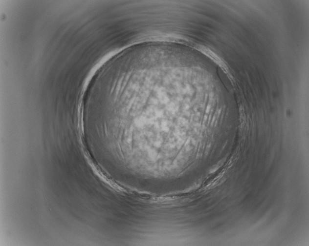 X0000079281128200612081746