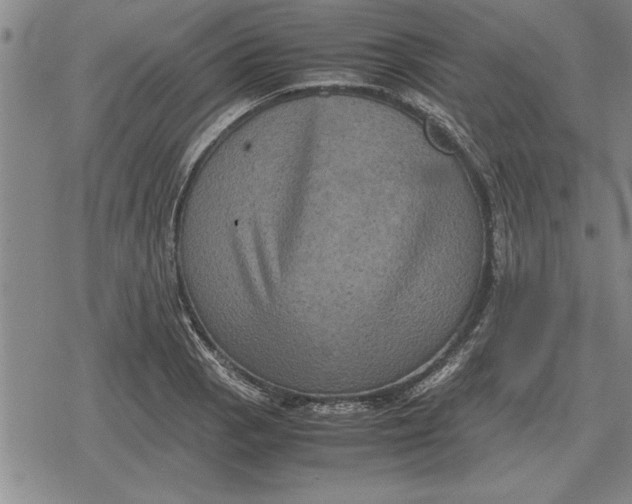 X0000079281129200612081746