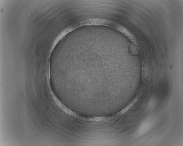 X0000079281130200612081746