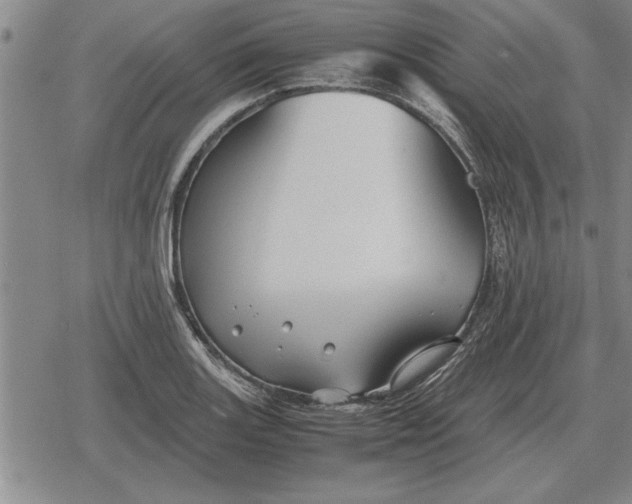 X0000079281131200612081746