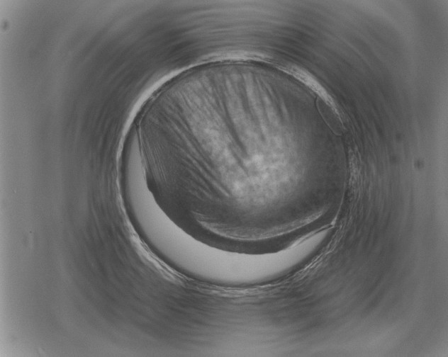 X0000079281132200612081746