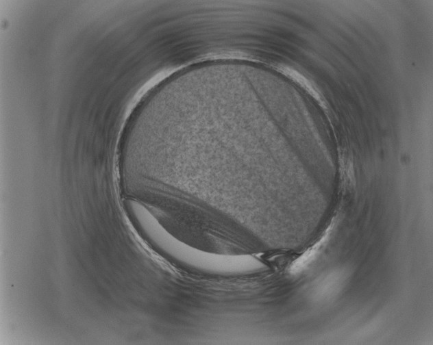 X0000079281133200612081746