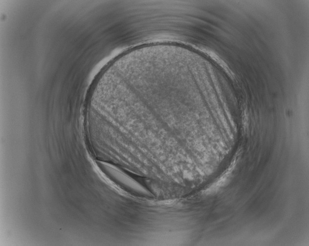 X0000079281134200612081746