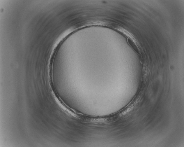 X0000079281135200612081746