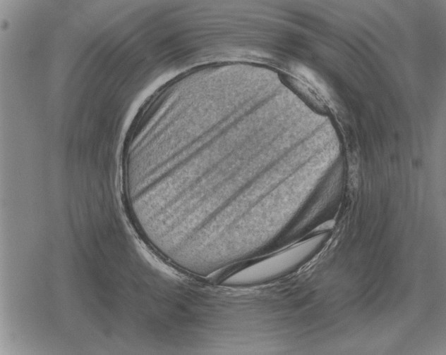 X0000079281136200612081746