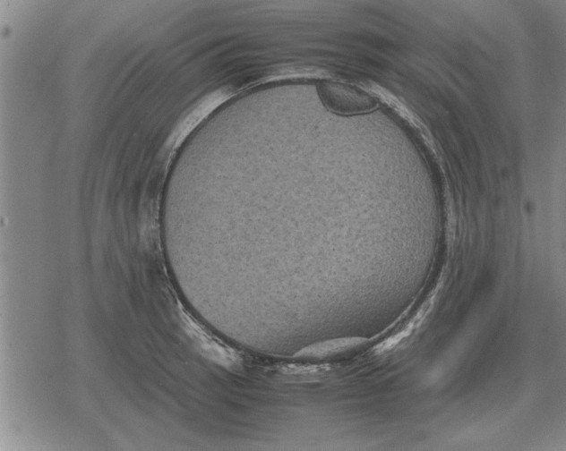 X0000079281137200612081746