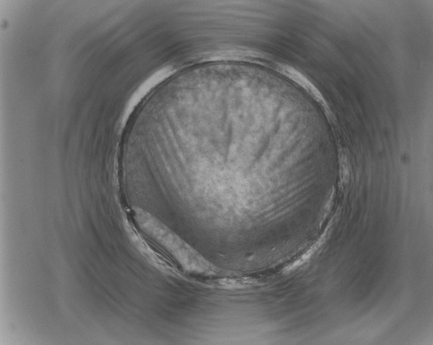 X0000079281138200612081746