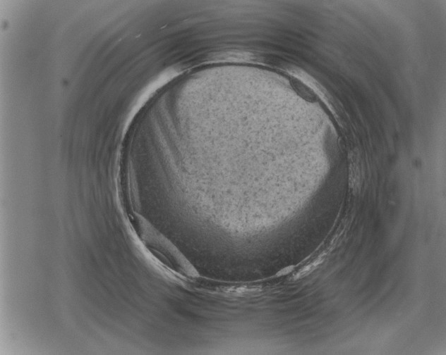 X0000079281139200612081746