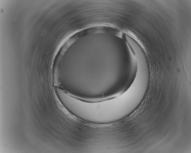 X0000079281140200612081746