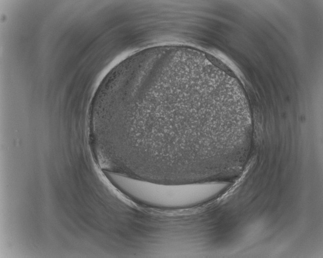 X0000079281142200612081746