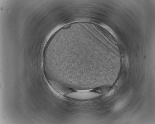 X0000079281143200612081747