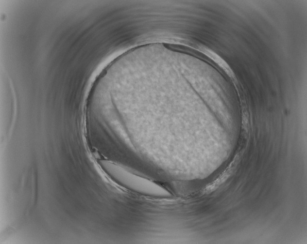 X0000079281144200612081747