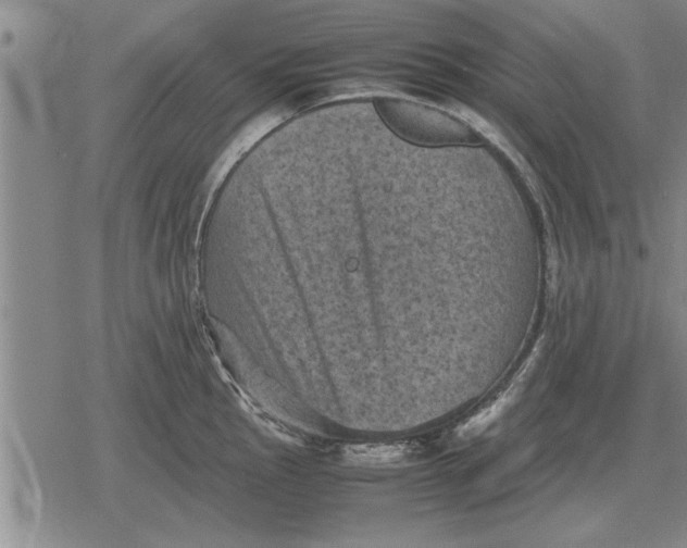 X0000079281145200612081747