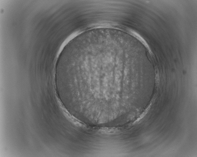 X0000079281146200612081747