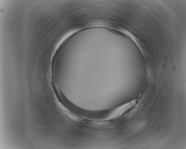 X0000079281147200612081747