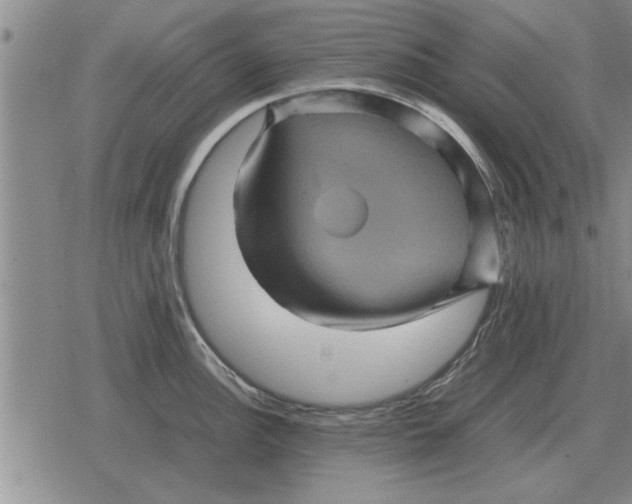 X0000079281148200612081747