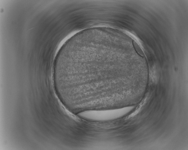 X0000079281149200612081747