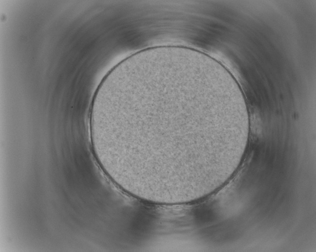 X0000079281150200612081747