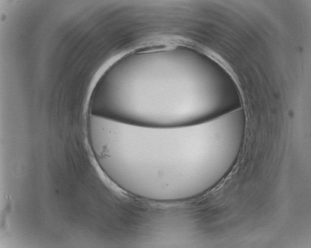 X0000079281152200612081747