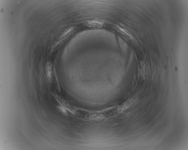 X0000079281154200612081746