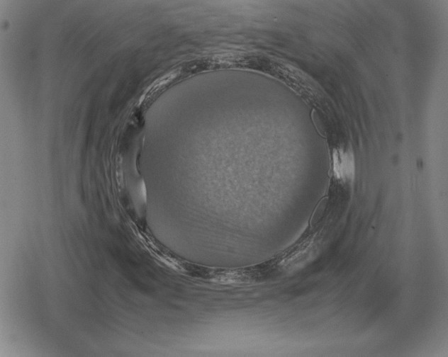 X0000079281155200612081746