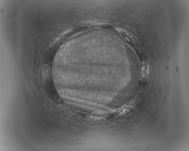 X0000079281157200612081746