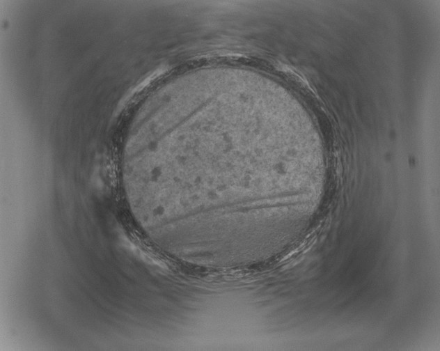 X0000079281159200612081746