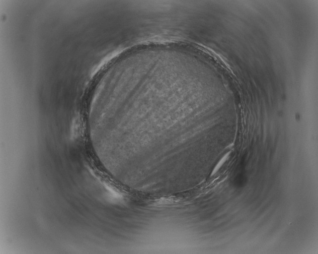 X0000079281160200612081746