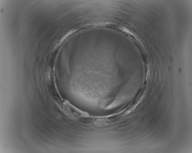 X0000079281161200612081746