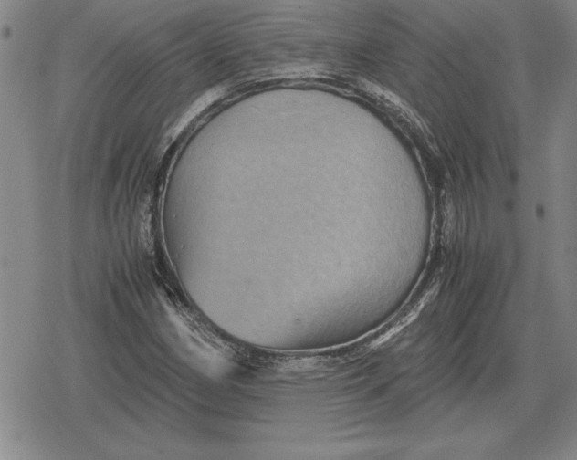 X0000079281162200612081746