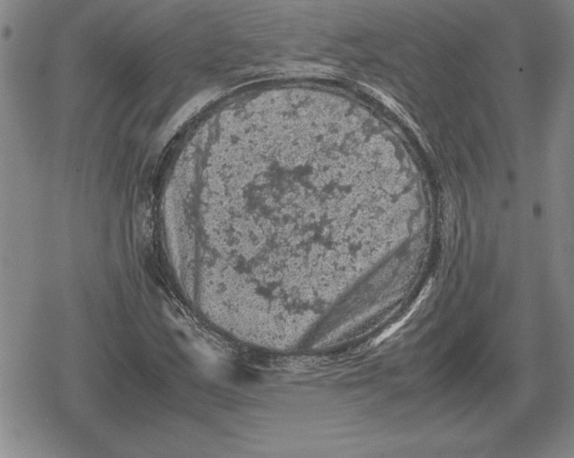 X0000079281163200612081746